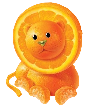 orange lion